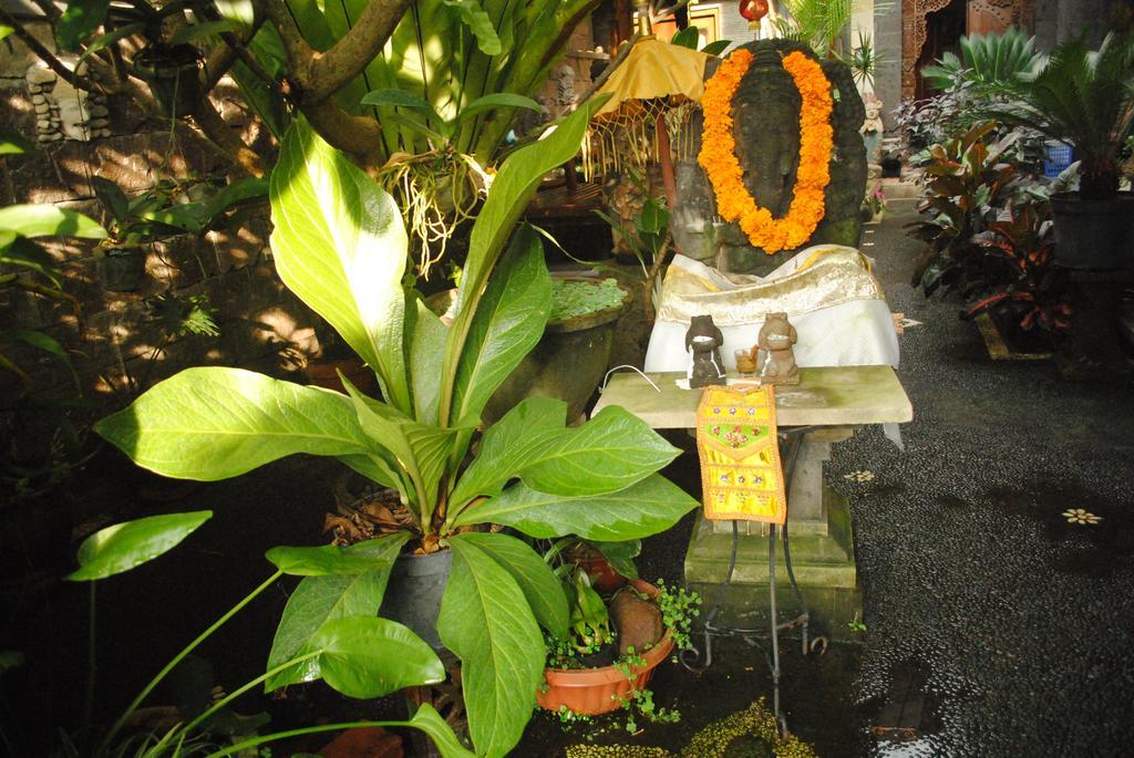 Jangkrik Homestay Ubud  Luaran gambar